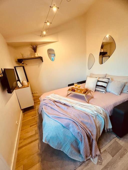 Apartment Le Cosy Du Roi, Wifi,gare,paris