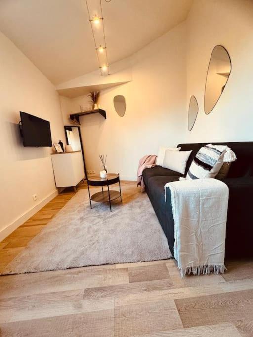 Le Cosy Du Roi, Wifi,gare,paris Apartment Versailles